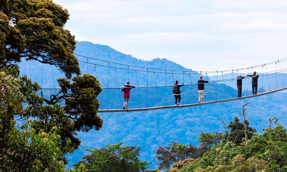 Nyungwe National Park