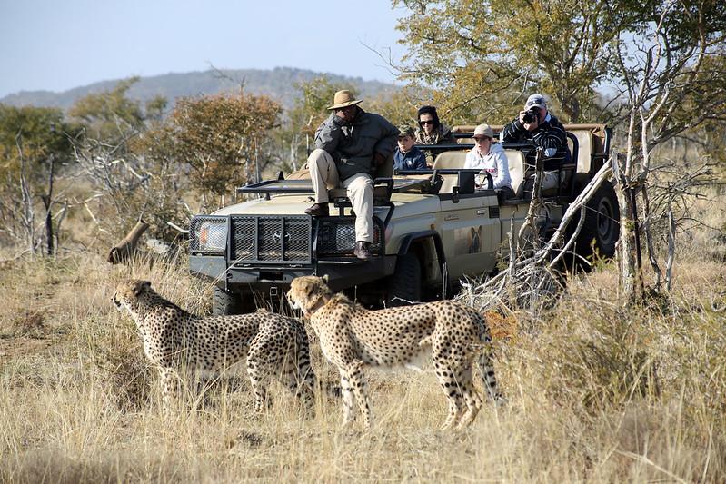 The 5 Best Safaris in Africa.