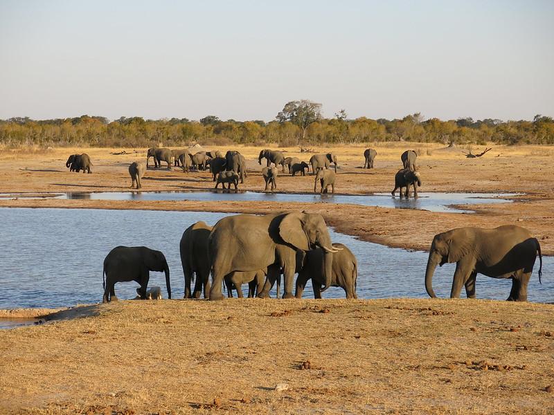 The 5 Best Safaris in Africa.