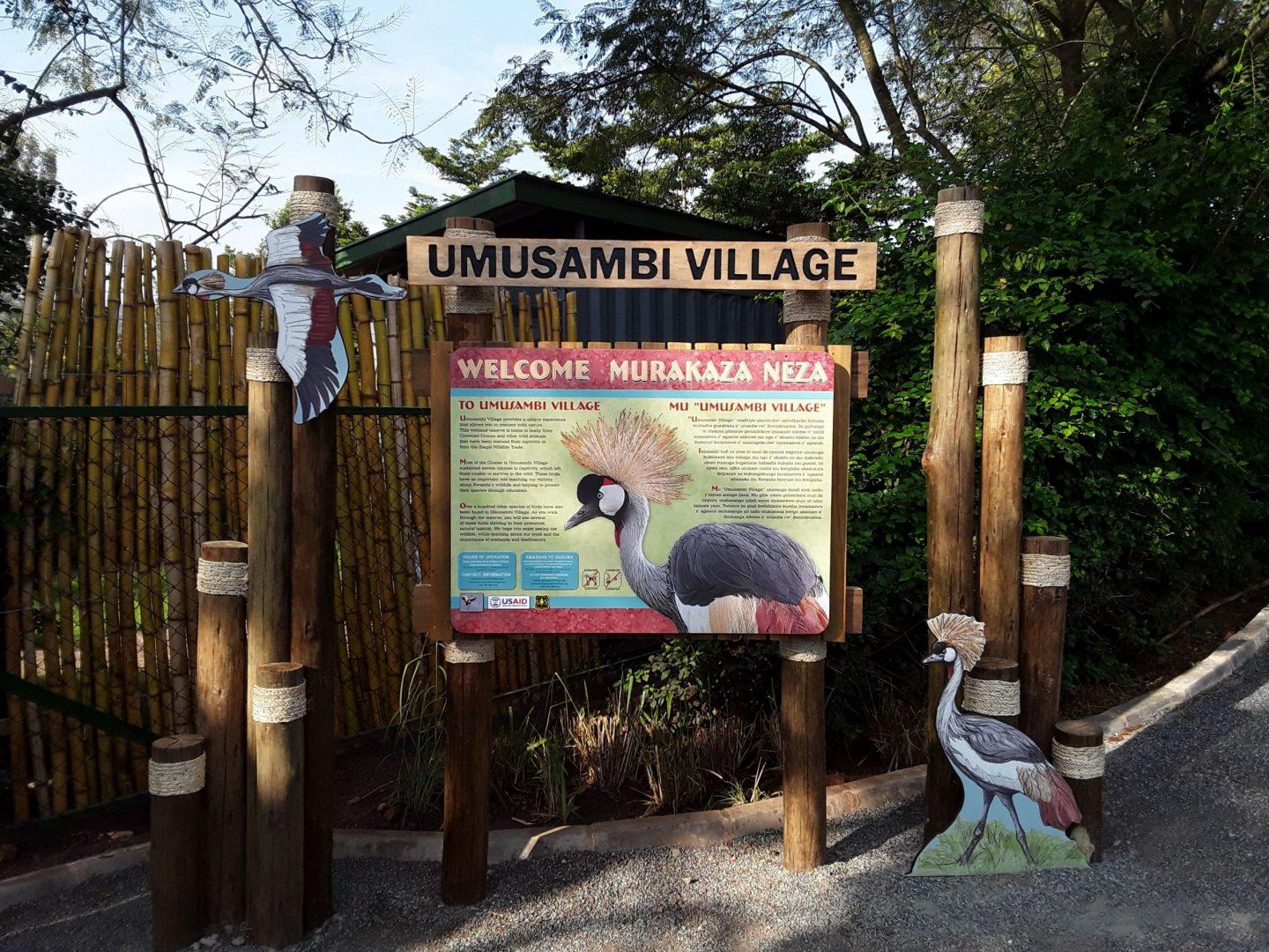 Top 10 Things to Do in Kigali City.